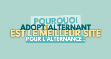 Adopt1Alternant : le meilleur site d'emploi pour l'alternance et le stage - Adopt1Alternant - Offres d'emploi en stage et alternance