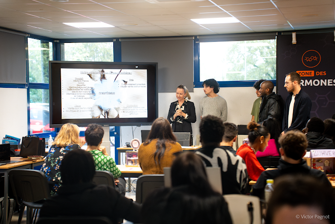 GCIF IFOCOP BEGLES - Adopt1Alternant - Offres d'emploi en stage et alternance