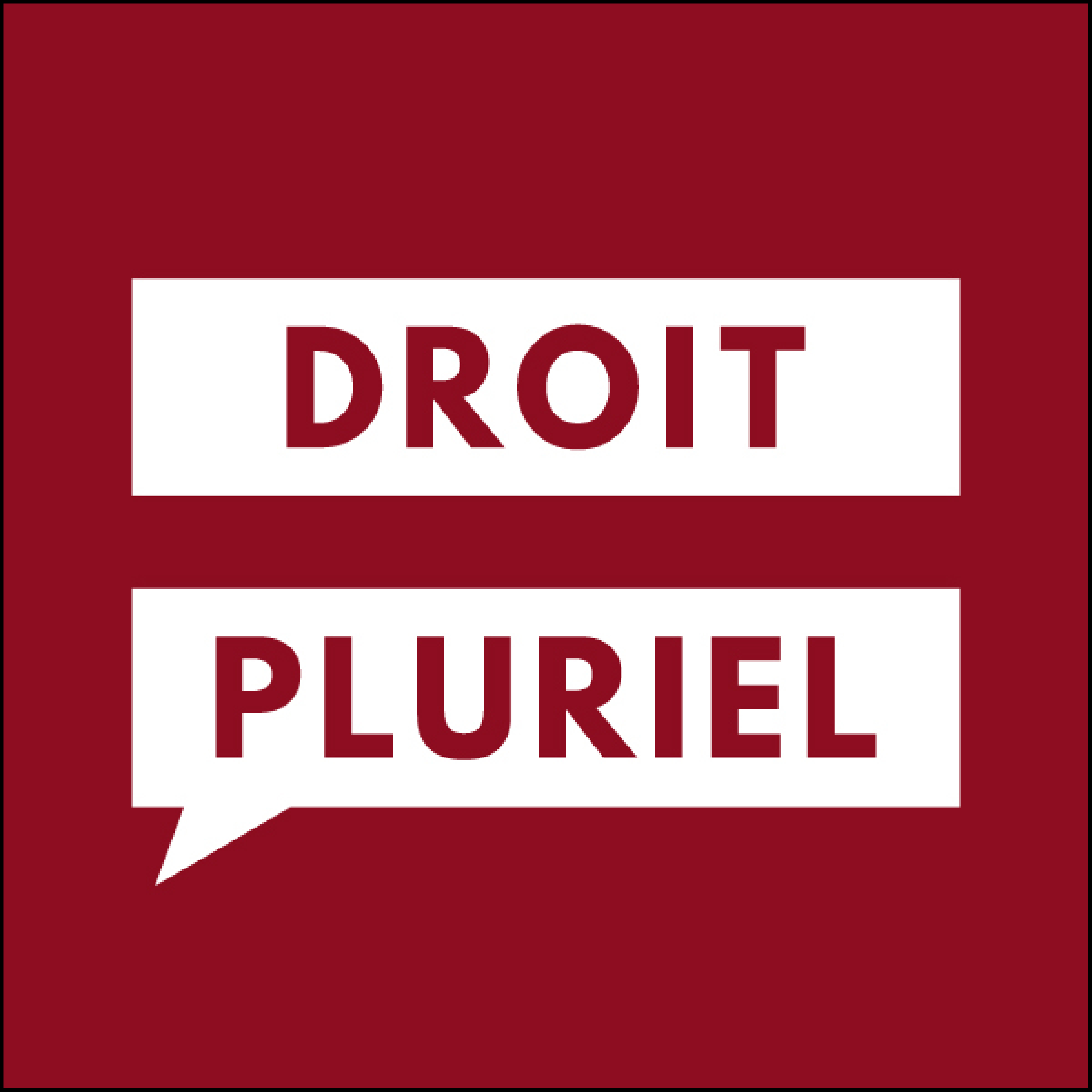 Droit Pluriel - Logo